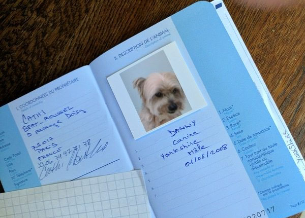 Pet Passport (hộ chiếu cho thú cưng)