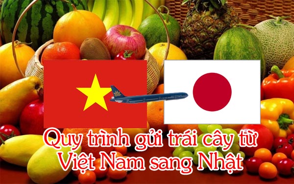 Quy trình gửi trái cây qua bưu điện - Gửi trái cây từ Việt Nam sang Nhật