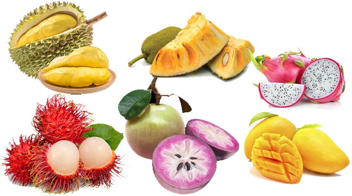 Các loại trái cây đặc sản việt nam mang đi nước ngoài
