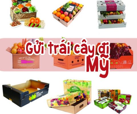 Dịch vụ đóng gói sản phẩm gửi trái cây đi Mỹ cùng các loại rau củ quả Đà Lạt