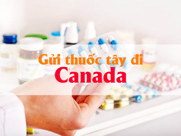 Gửi thuốc tây đi Canada, tìm hiểu cước phí và một số lưu ý