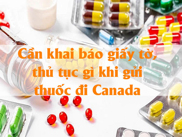 Cần khai báo giấy tờ, thủ tục gì khi gửi thuốc đi Canada 