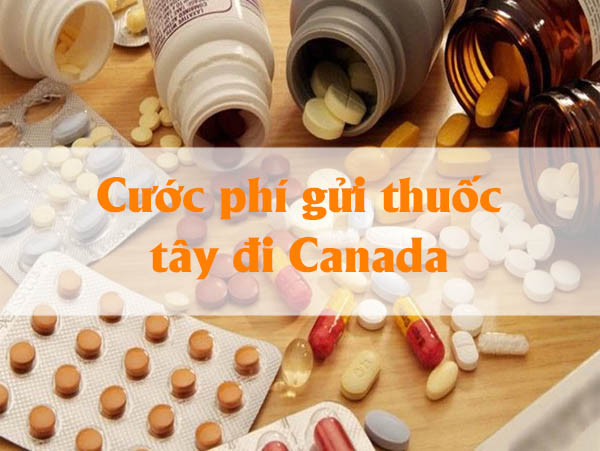 Cước phí gửi thuốc tây đi Canada là bao nhiêu? 
