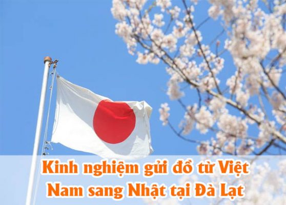 Kinh nghiệm gửi đồ từ Việt Nam sang Nhật tại Đà Lạt