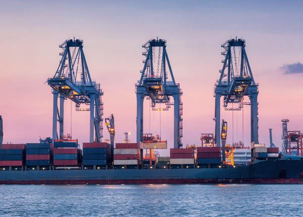 Giá cước vận tải container đường biển một số tuyến phổ biến mới nhất