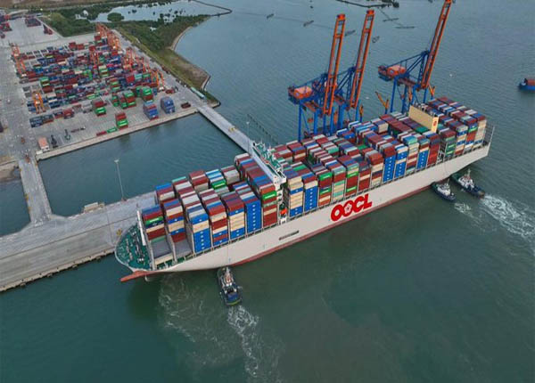 quy trình xuất nhập khẩu hàng hóa bằng đường biển